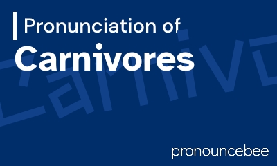 how to pronounce carnivores feature image