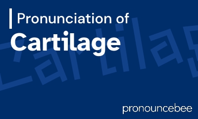 how to pronounce cartilage feature image