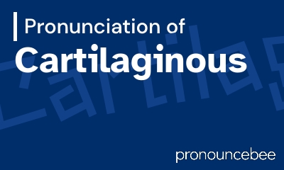 how to pronounce cartilaginous feature image