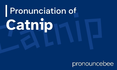how to pronounce catnip feature image