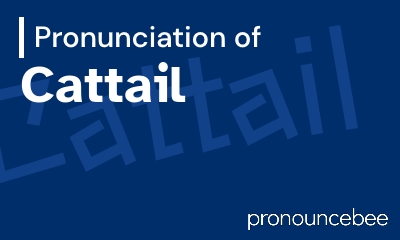 how to pronounce cattail feature image