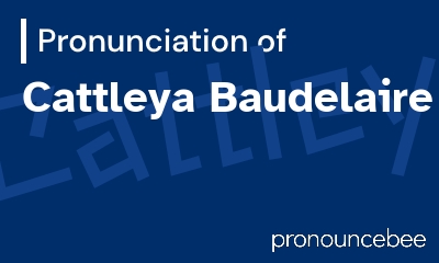 how to pronounce cattleya-baudelaire feature image