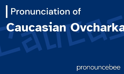 how to pronounce caucasian-ovcharka feature image