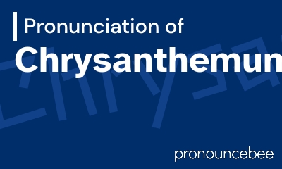 how to pronounce chrysanthemum feature image