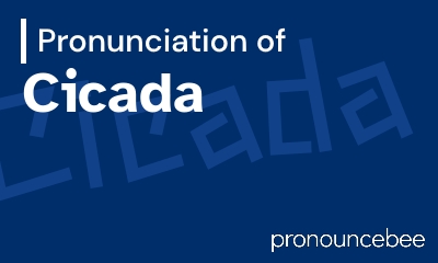 how to pronounce cicada feature image