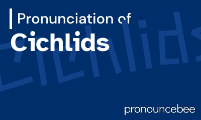 how to pronounce cichlids feature image