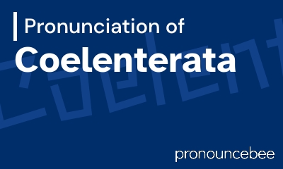 how to pronounce coelenterata feature image