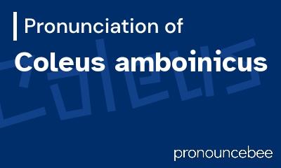 how to pronounce coleus-amboinicus feature image