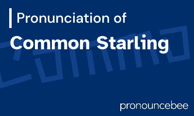 how to pronounce common-starling feature image
