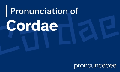 how to pronounce cordae feature image