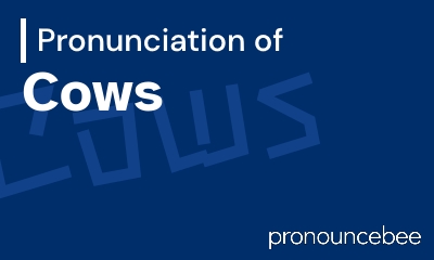 how to pronounce cows feature image