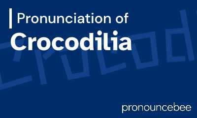 how to pronounce crocodilia feature image