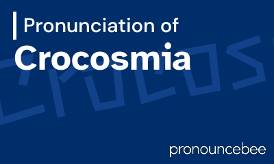 how to pronounce crocosmia feature image