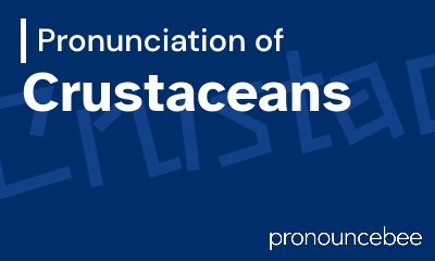 how to pronounce crustaceans feature image