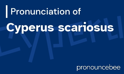 how to pronounce cyperus-scariosus feature image
