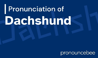 how to pronounce dachshund feature image