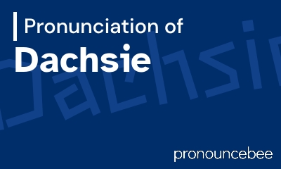 how to pronounce dachsie feature image