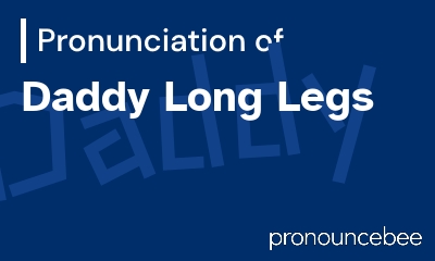how to pronounce daddy-long-legs feature image
