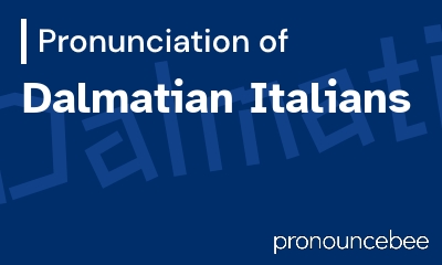 how to pronounce dalmatian-italians feature image