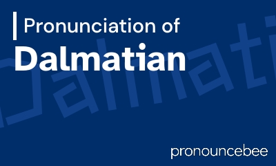 how to pronounce dalmatian feature image