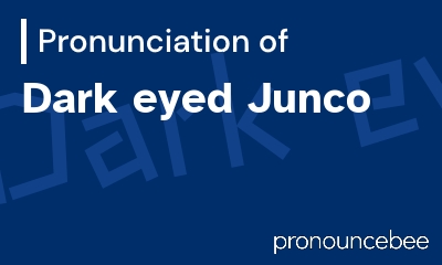 how to pronounce dark-eyed-junco feature image