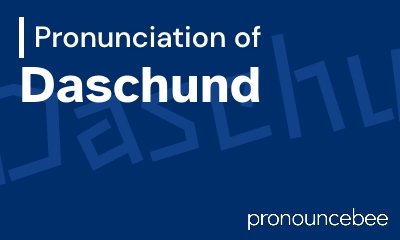 how to pronounce daschund feature image