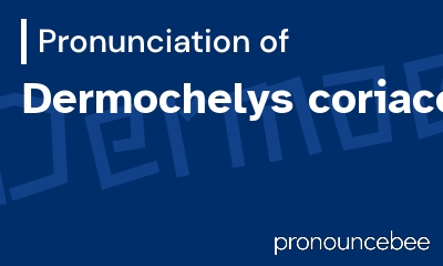 how to pronounce dermochelys-coriacea feature image