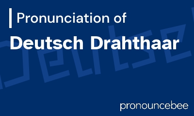 how to pronounce deutsch-drahthaar feature image