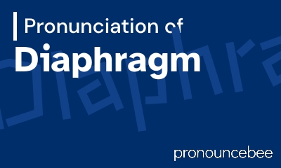 how to pronounce diaphragm feature image