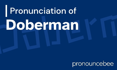 how to pronounce doberman feature image