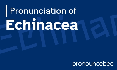 how to pronounce echinacea feature image