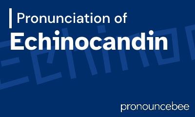 how to pronounce echinocandin feature image