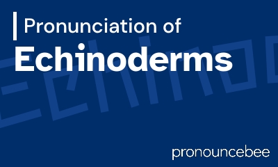 how to pronounce echinoderms feature image