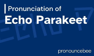 how to pronounce echo-parakeet feature image