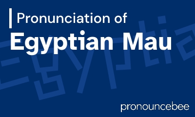 how to pronounce egyptian-mau feature image
