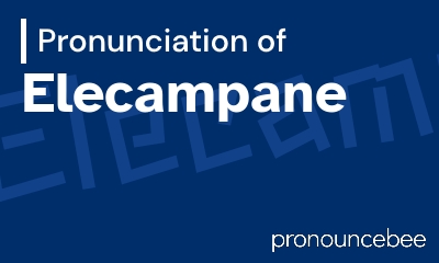 how to pronounce elecampane feature image