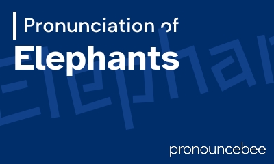 how to pronounce elephants feature image