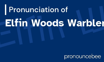 how to pronounce elfin-woods-warbler feature image