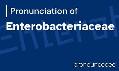 how to pronounce enterobacteriaceae feature image