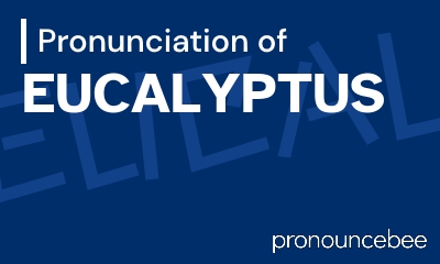 how to pronounce eucalyptus feature image
