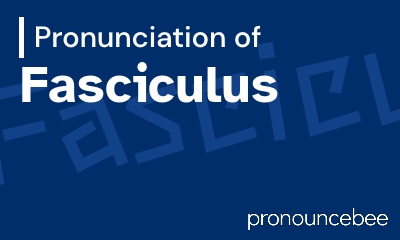 how to pronounce fasciculus feature image