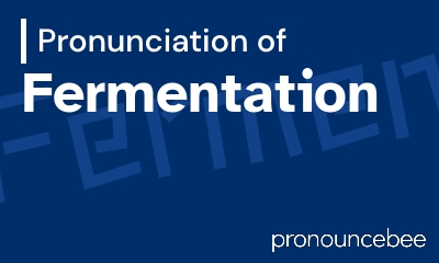 how to pronounce fermentation feature image