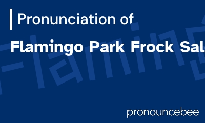 how to pronounce flamingo-park-frock-salon feature image