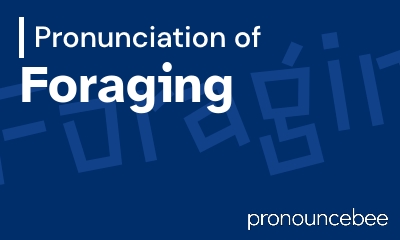 how to pronounce foraging feature image