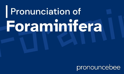 how to pronounce foraminifera feature image