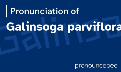 how to pronounce galinsoga-parviflora feature image
