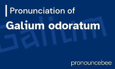how to pronounce galium-odoratum feature image