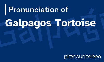 how to pronounce galpagos-tortoise feature image