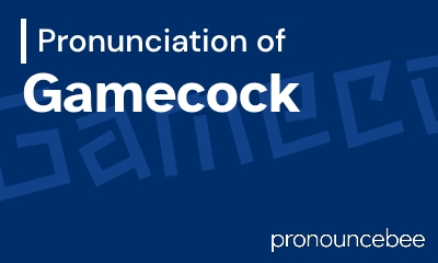how to pronounce gamecock feature image