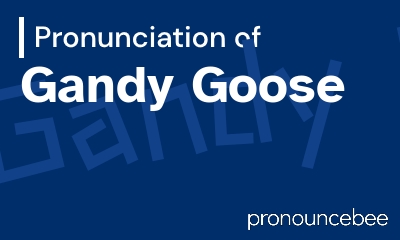 how to pronounce gandy-goose feature image